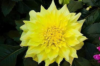 无限投币童年无遗憾 《IGS经典街机合集》现已发售